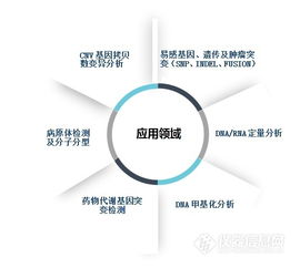 本土品牌MALDI-TOF質(zhì)譜獲醫(yī)療器械證，網(wǎng)絡(luò)技術(shù)開(kāi)發(fā)助力精準(zhǔn)醫(yī)療新突破